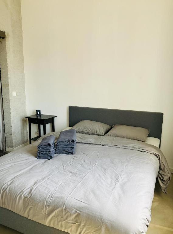 Suikernest Apartment Antwerp