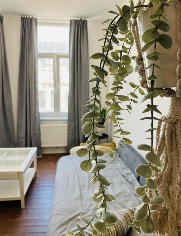 Suikernest Apartment