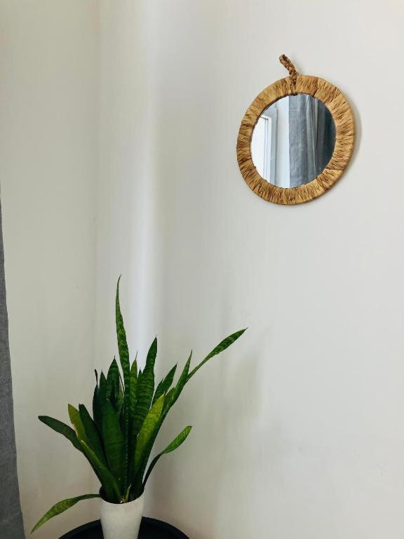 Apartamento Suikernest